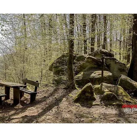 Holiday home Haus Renate Palatinate Forest *