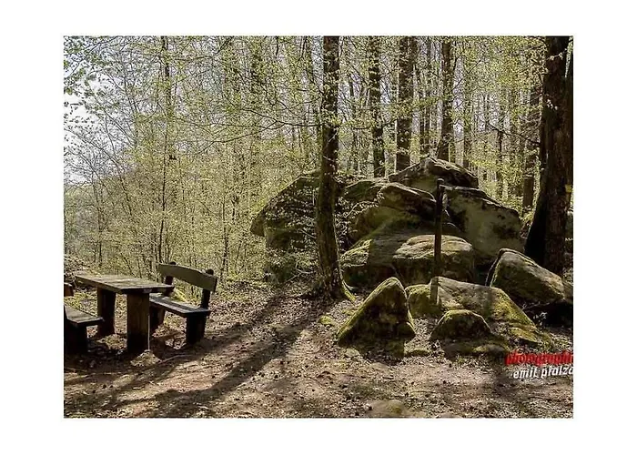 度假居 Haus Renate Palatinate Forest *